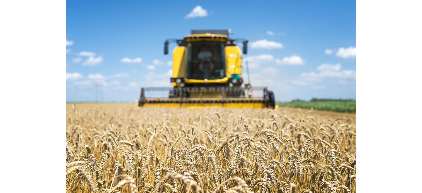 Produzir mais em menos área é desafio central do agro diante do crescimento populacional