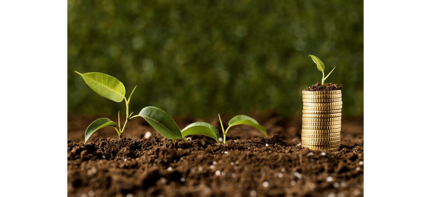 Como pequenos investidores podem surfar o boom do agro brasileiro, e por onde começar