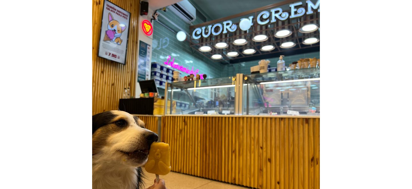 Novo perfil de família: redução de filhos e aumento dos animais de estimação exige inovação de gelaterias pet friendly