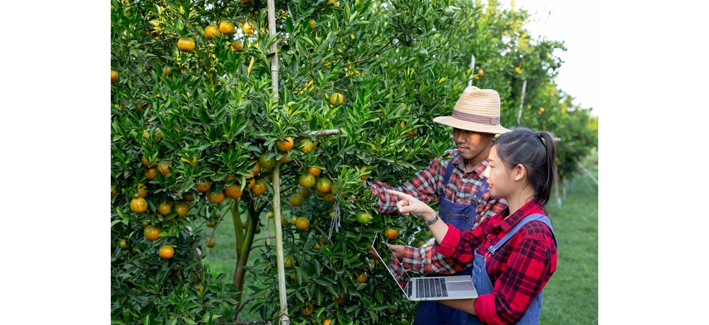 Atendimento técnico próximo ganha protagonismo na eficiência das lavouras