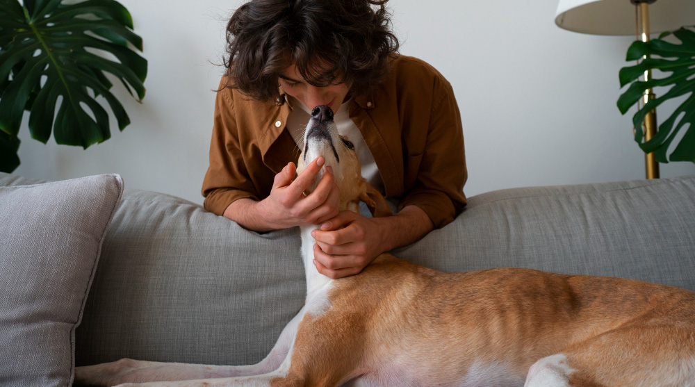 Castração muda as necessidades nutricionais? Meu pet vai engordar?