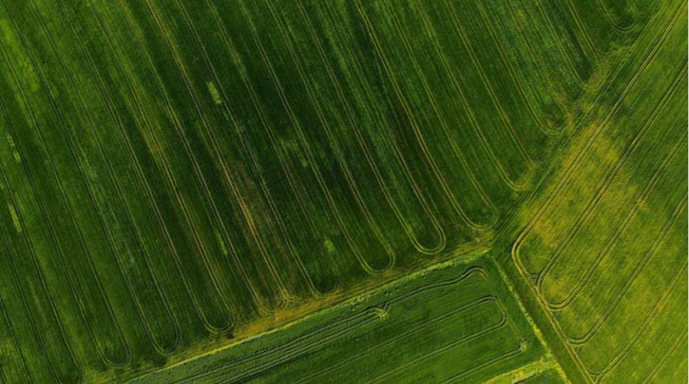Mosaic, gigante do agronegócio, aposta em IA para enfrentar volatilidade e reduzir custos logísticos