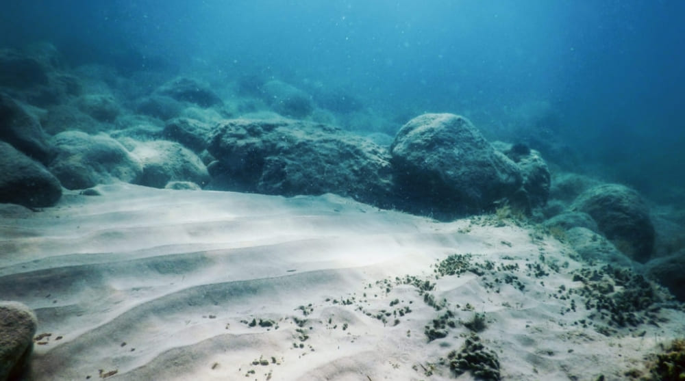 2026 pode trazer primeiro código global para mineração submarina, diz brasileira que chefia órgão da ONU