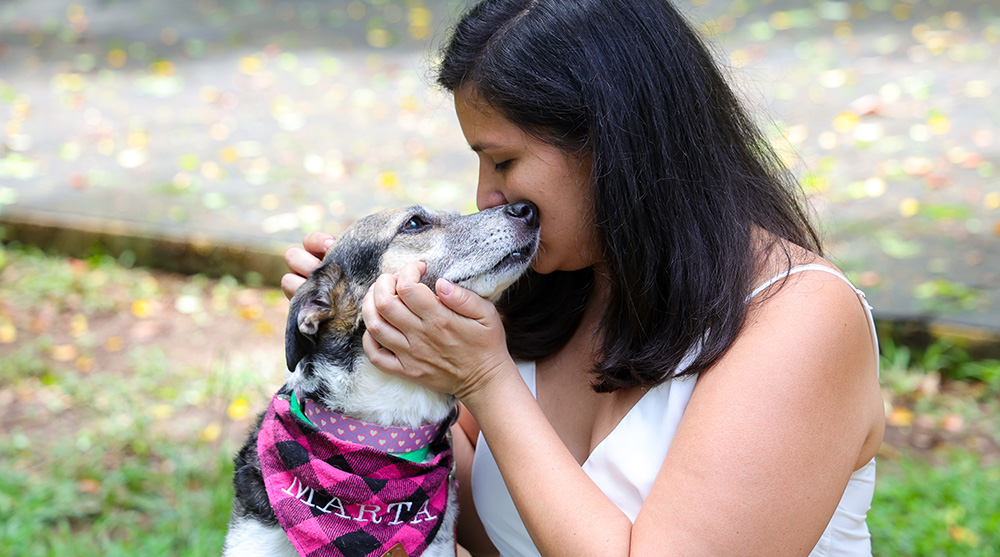 Exposição  virtual  “A vida que compartilhamos” retrata em  vídeos  a jornada de afeto na adoção de pets no Brasil