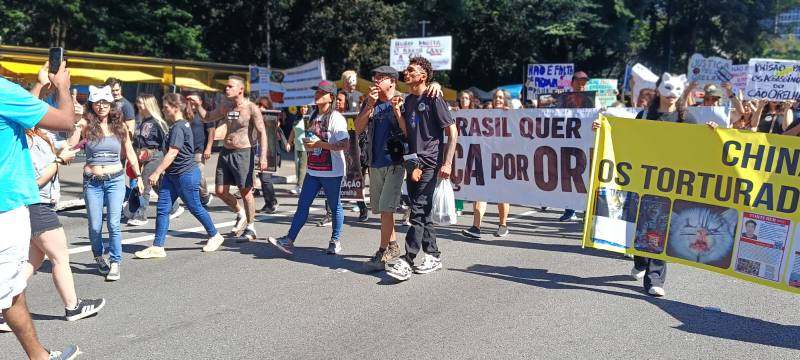 Manifestação no MASP em 17/05 ecoa dor e resistência: ato em São Paulo cobra CPI do caso Orelha e justiça pelos animais