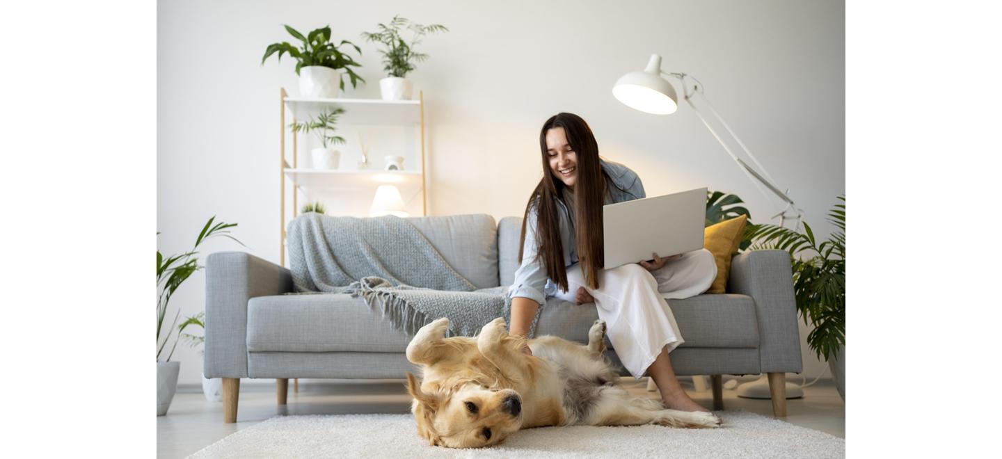 Casa com pets exige rotina reforçada de limpeza e cuidados específicos