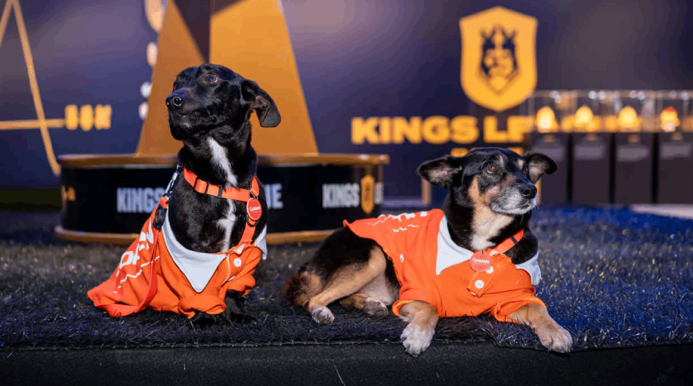 GoldeN  doa  10  toneladas  de  alimento  para ONGs parceiras  em ação na  final da Kings League Brasil