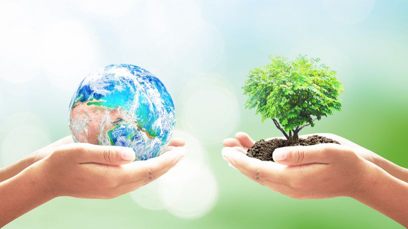 Quais políticas públicas são essenciais para preservar o meio ambiente? Confira com a Versa Engenharia Ambiental LTDA