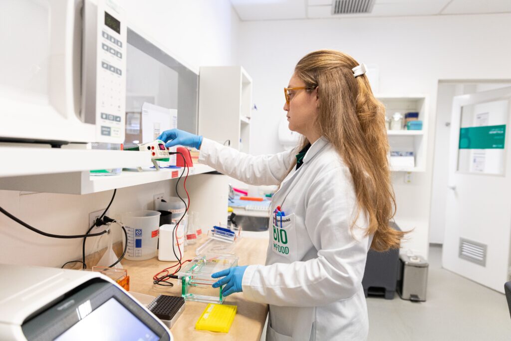Levedura 2.0 desenvolvida pela BIOINFOOD otimiza a produção de etanol, reduz custos industriais e aumenta a eficiência dos biocombustíveis.