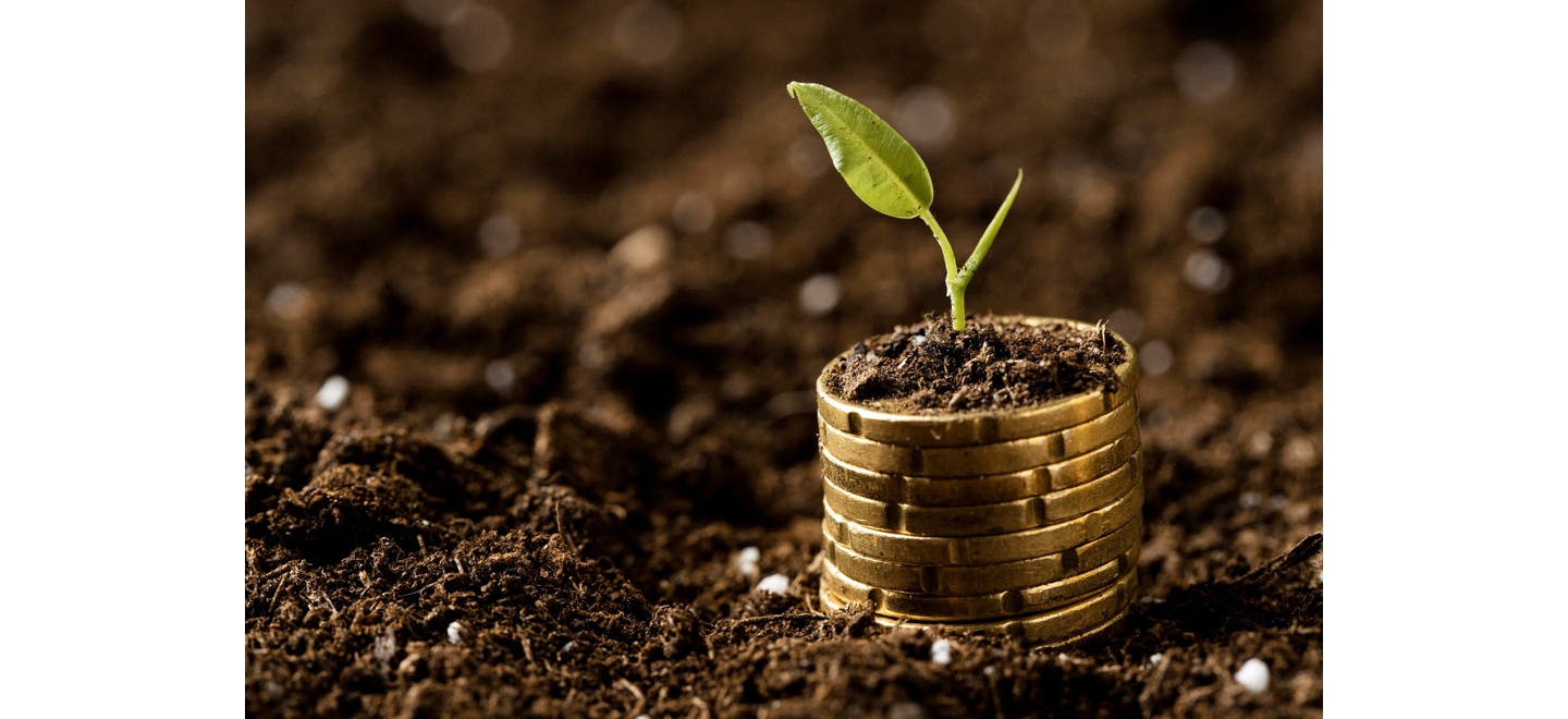 O novo perfil do investidor do agro: jovem, digital e guiado por impacto