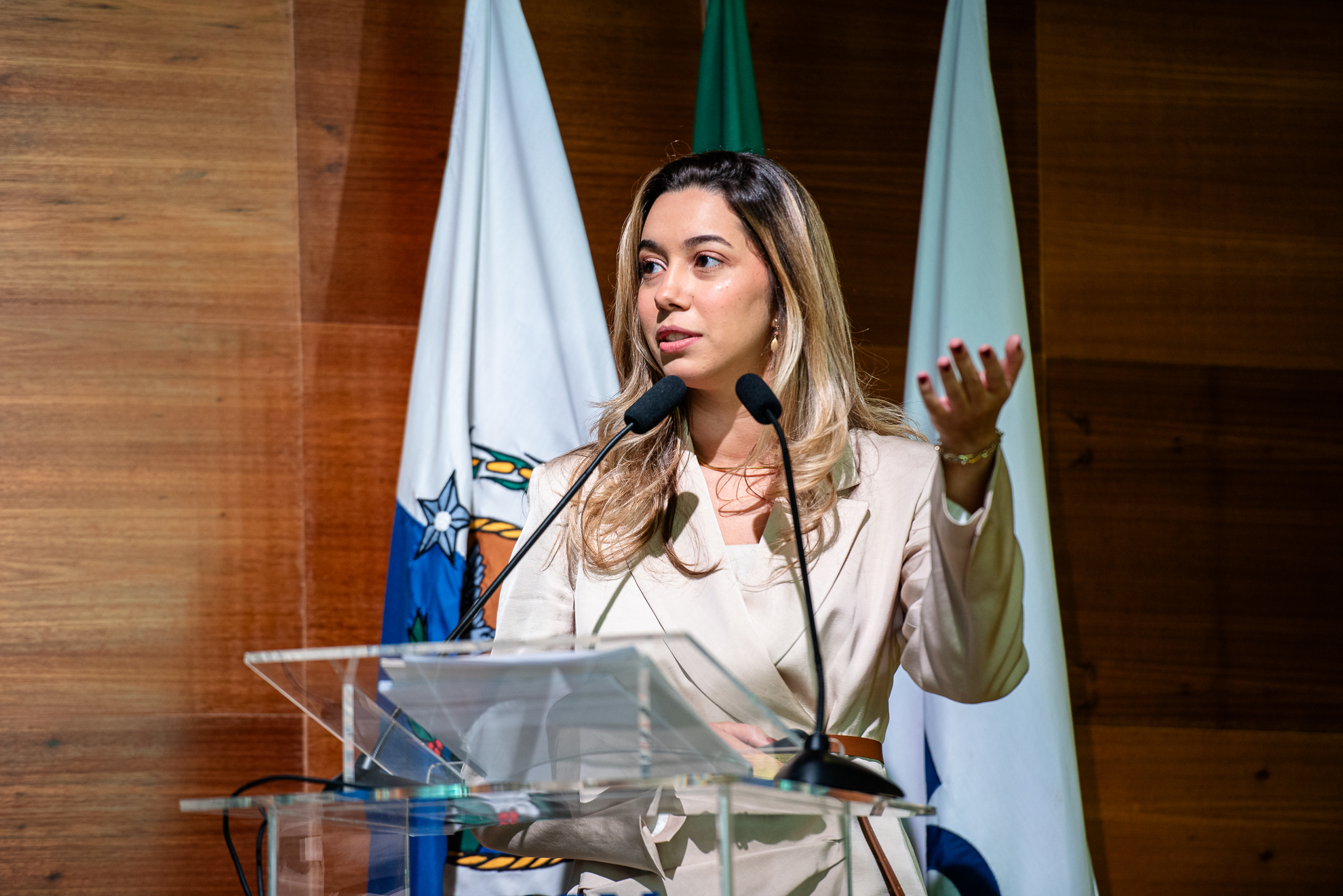 Luiza Guitarrari: consumidor ainda não percebe os benefícios da Lei do Gás