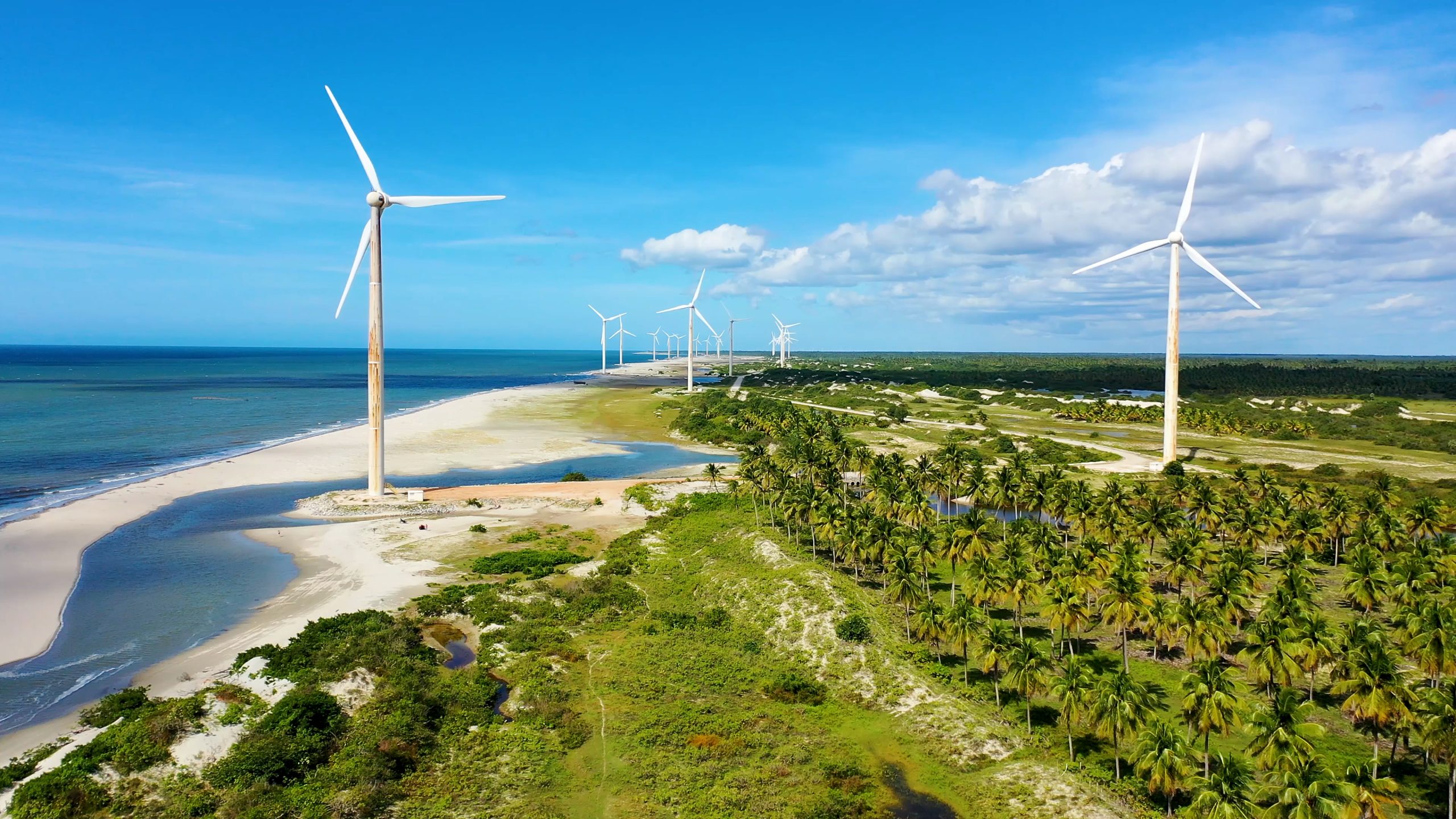Do vento ao bolso: 3 formas de investir na expansão da energia renovável no Brasil
