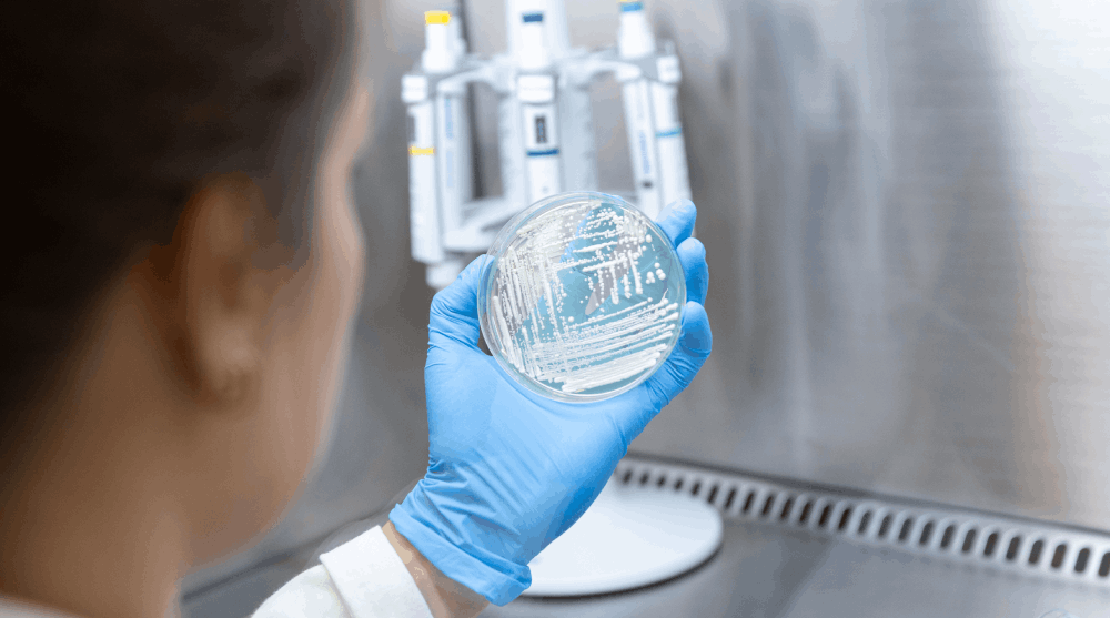 Biotecnologia industrial com leveduras inovadoras.
