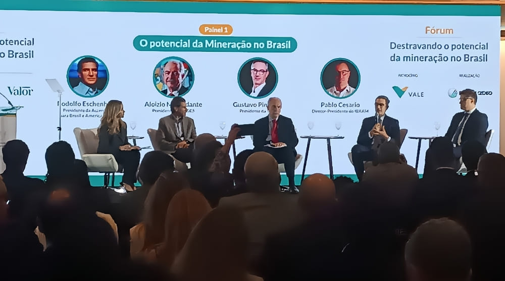 Vale avalia entrada em lítio e terras raras, mas mantém foco em grandes commodities