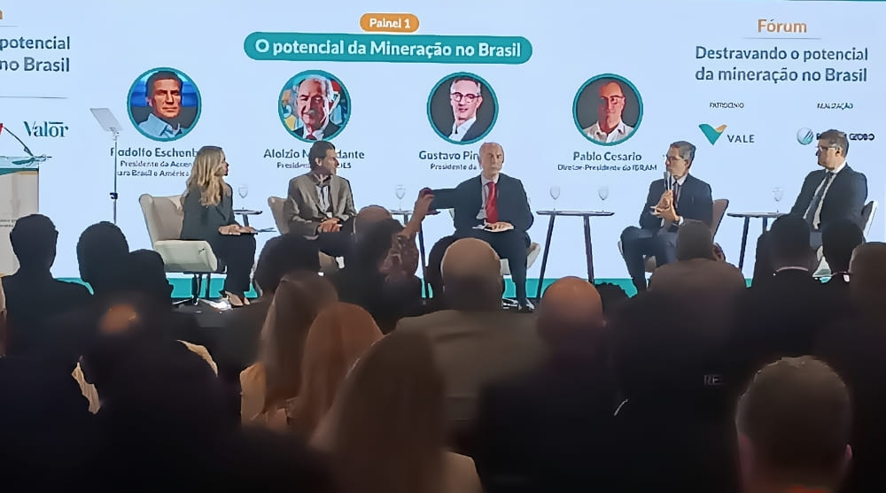 Vale defende força-tarefa para acelerar projetos estratégicos de minerais críticos