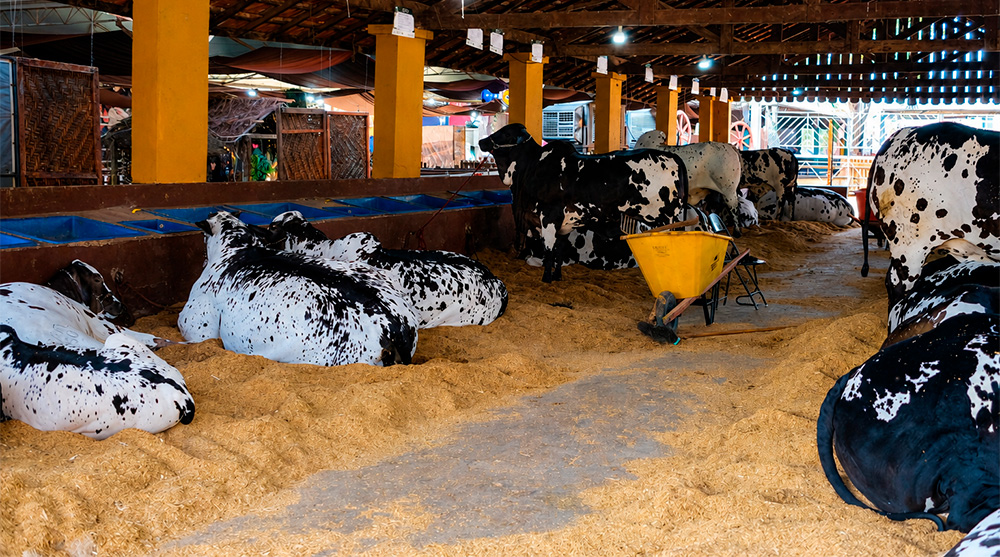 EXPO Rio Preto coloca em prática o conceito de economia circular