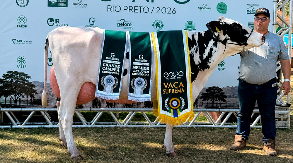 Etapa Leite na EXPO Rio Preto reúne 446 animais e define os grandes campeões