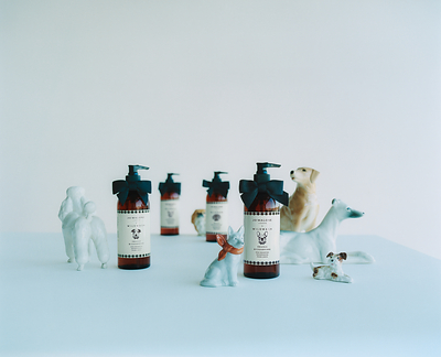 Apresentamos o shampoo para cães Jo Malone London × WildWash.