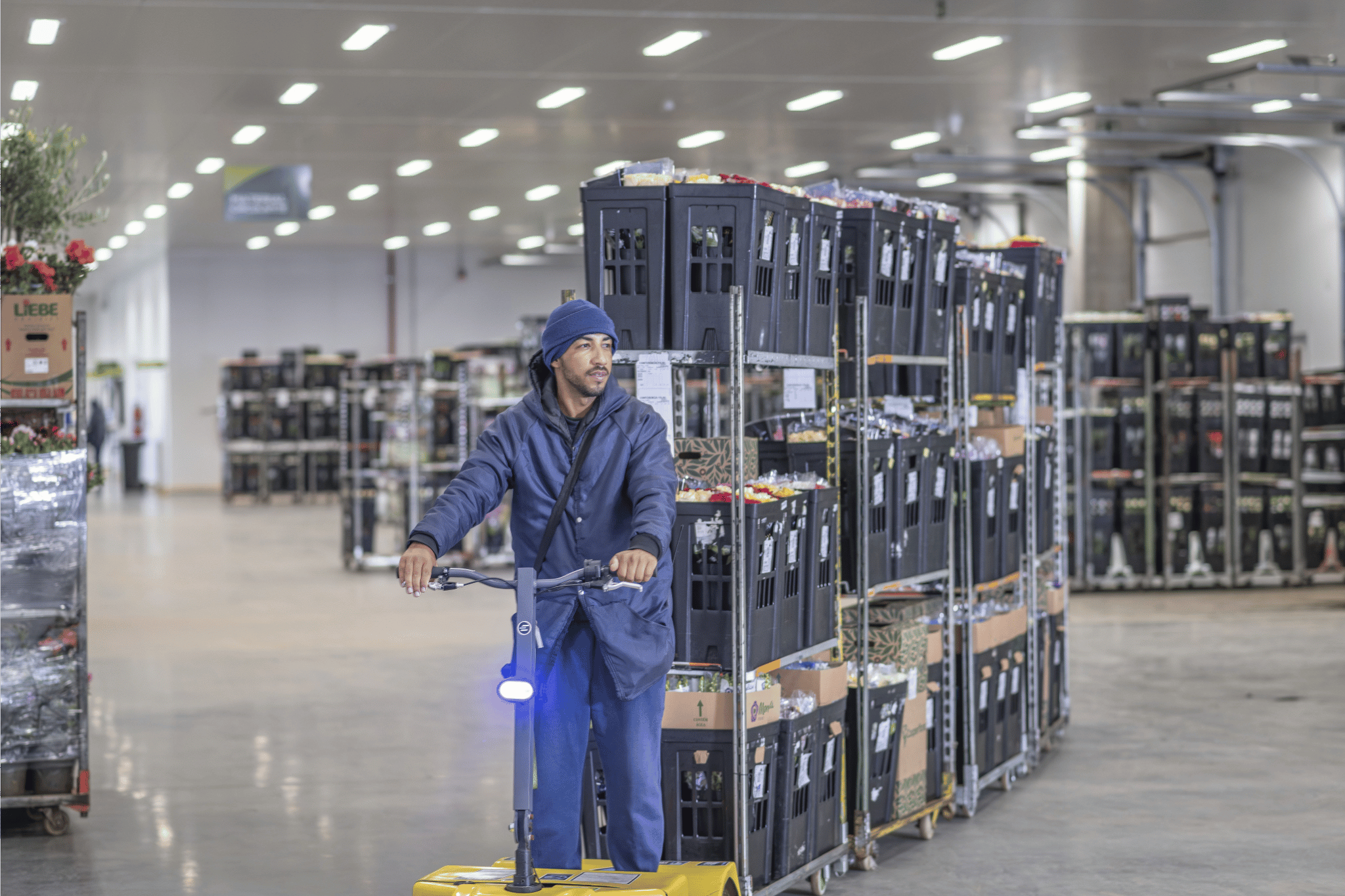 Gestão de dados impulsiona cooperativa e ganha projeção