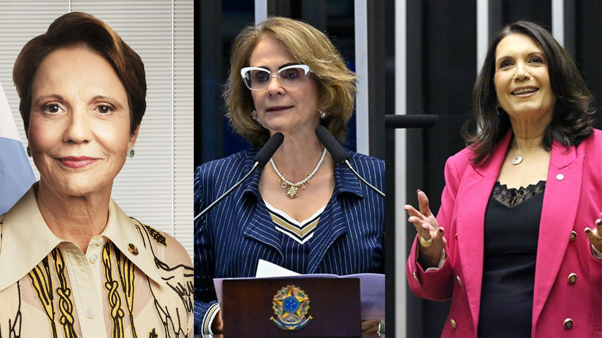 R ede parlamentar de políticas femininas  lançada em São Paulo contará  com Tereza Cristina, Damares Alves e Bia Kicis