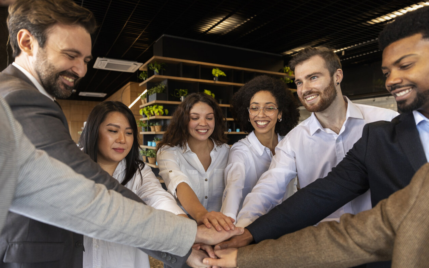 Dia do Empreendedor: 10 negócios que enxergaram oportunidades e transformaram ideias em empresas 