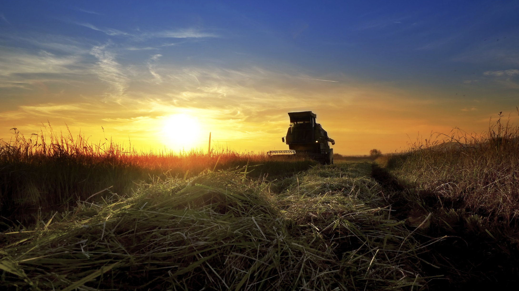 Banner de :Como a engenharia aplicada ao campo redefine o desempenho das máquinas agrícolas