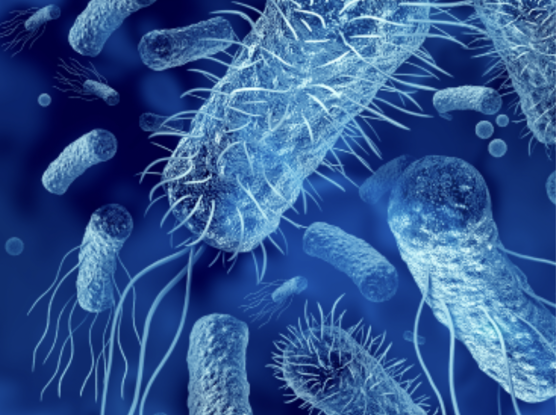 Tecnologia atua para combater a pandemia silenciosa das superbactérias