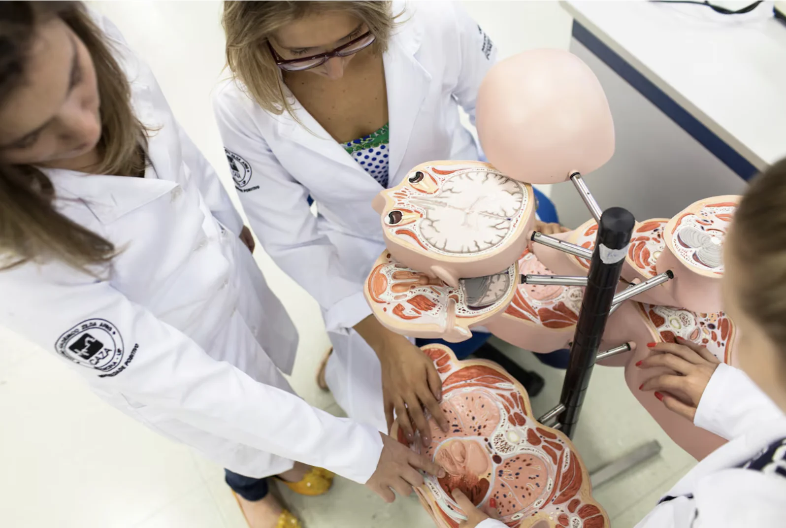 Cruzeiro do Sul Educacional moderniza espaços e oferece ecossistema de aprendizagem dinâmico