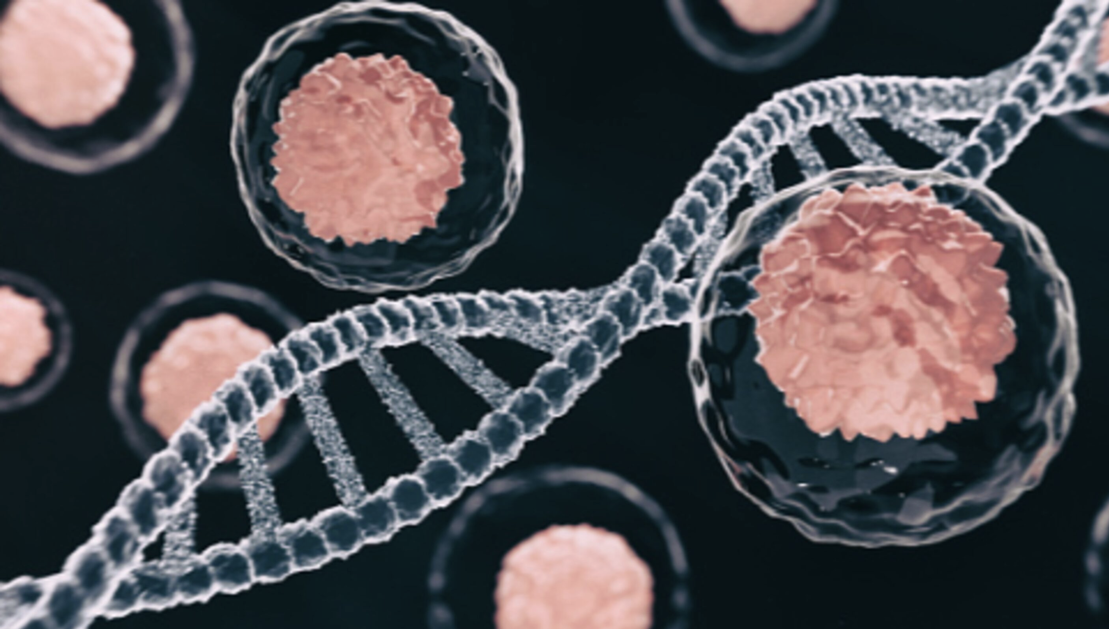 Banner de :Rede Américas amplia atuação em oncologia de alta complexidade