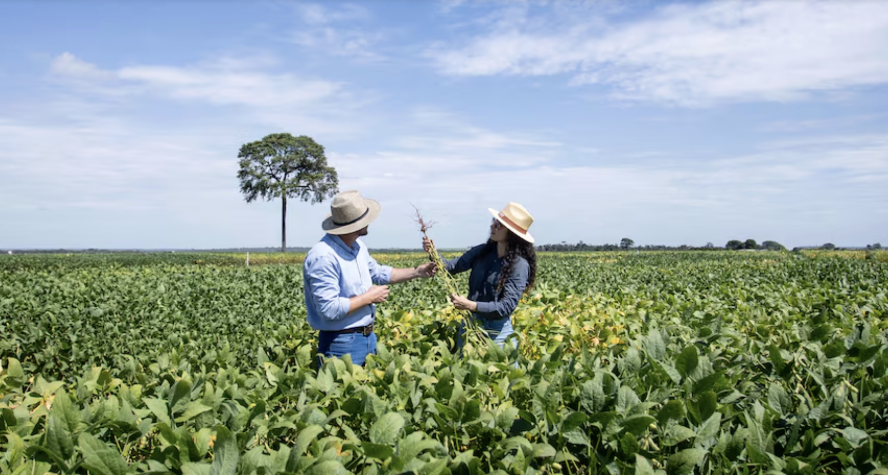 Banner de :O que o agro ensina sobre inovação em tempos de incerteza