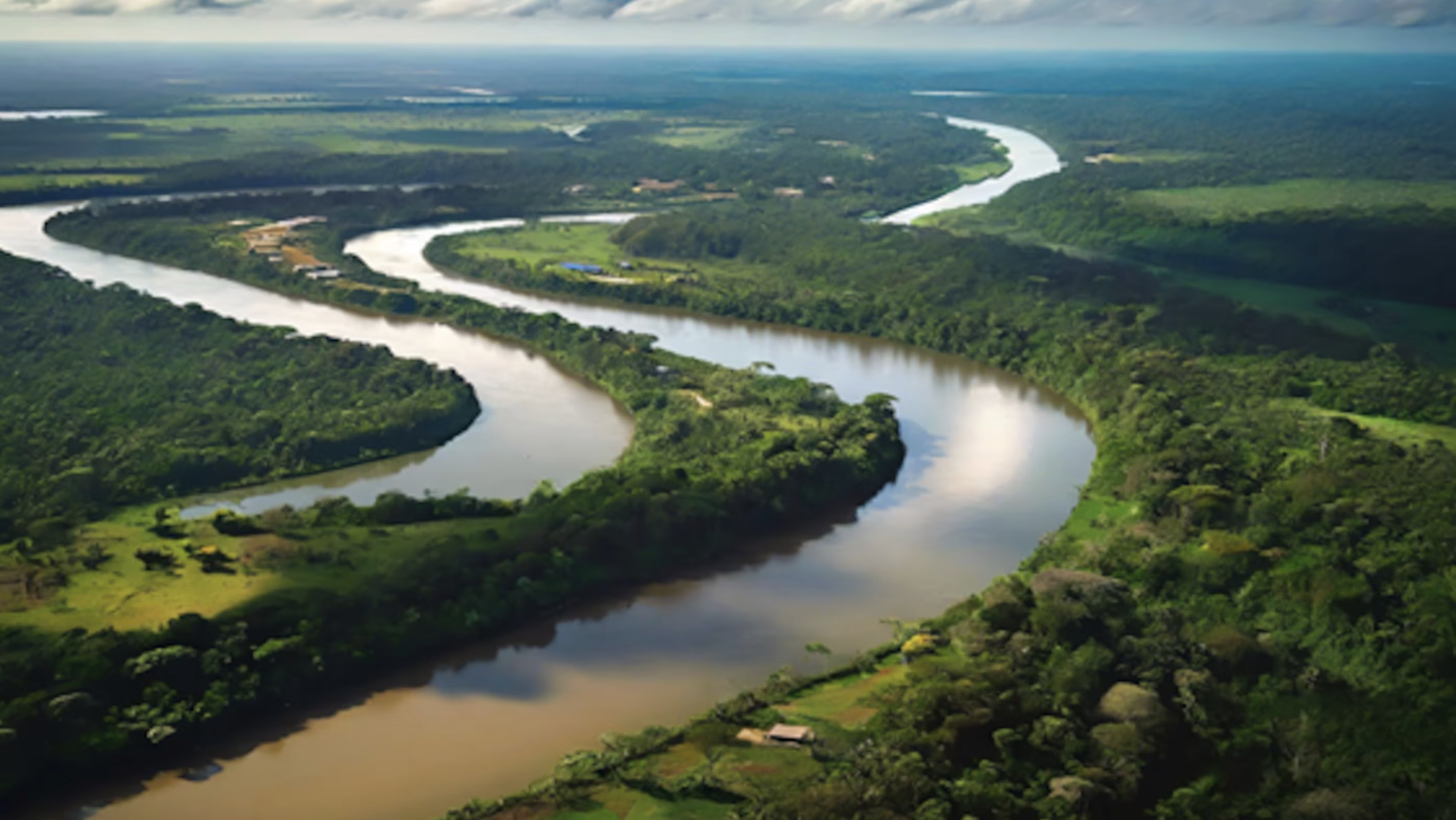 Banner de :Instrumentos financeiros geram valor a partir da bioeconomia na Amazônia