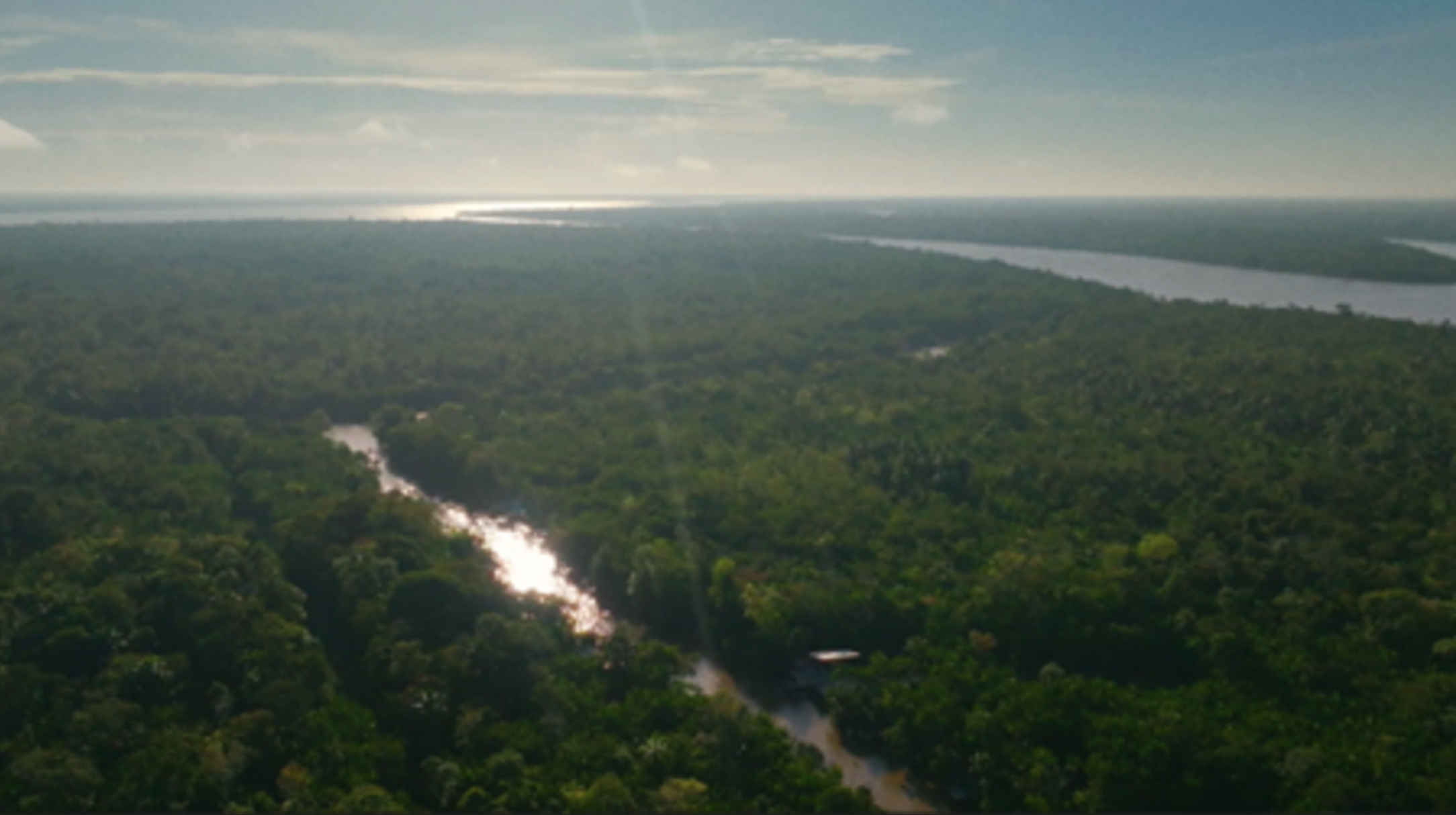 Banner de :Crédito rural impulsiona pecuária 4.0 e transforma relação com a floresta na Amazônia