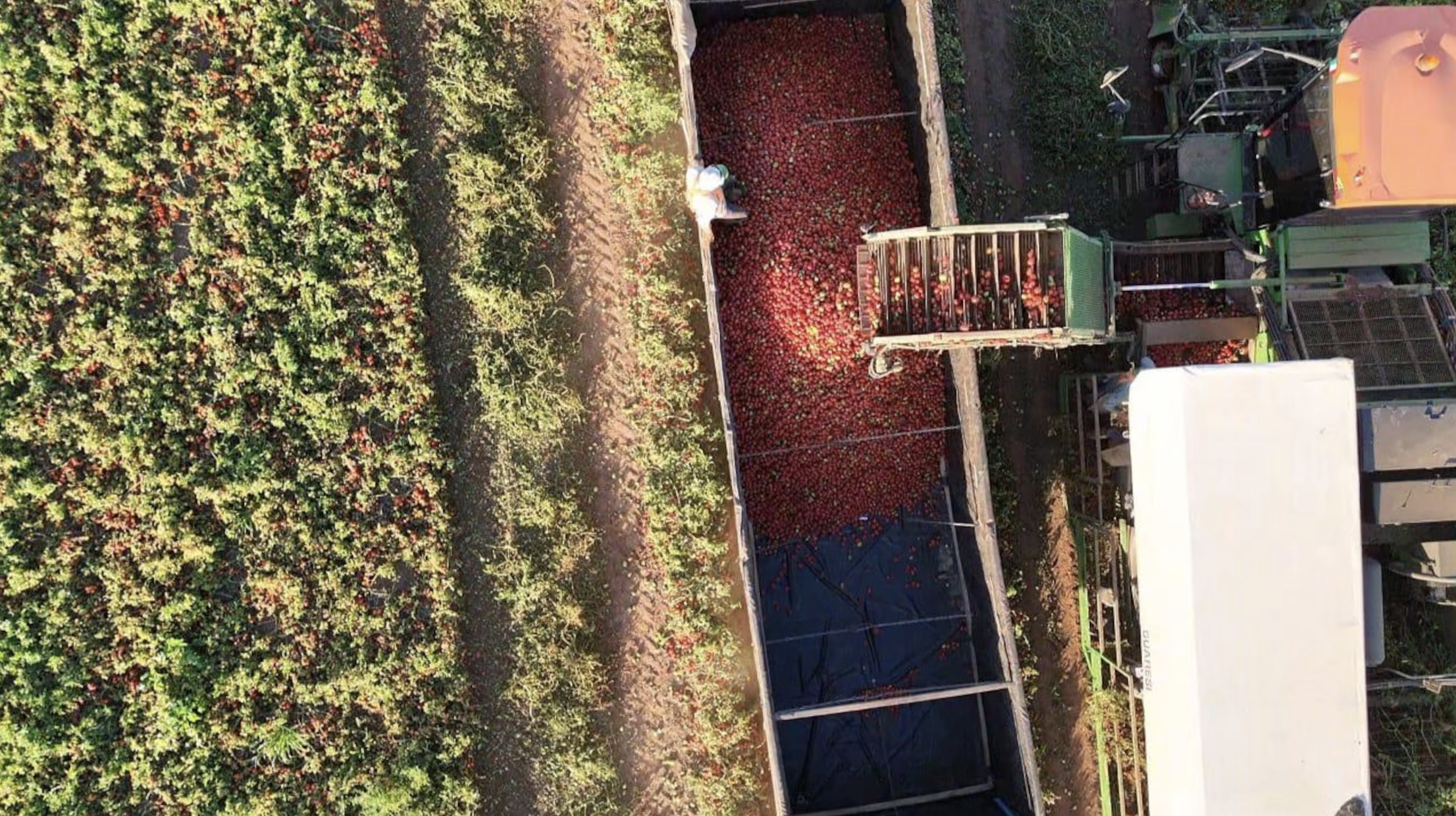 Tecnologia da Fugini cuida desde a origem