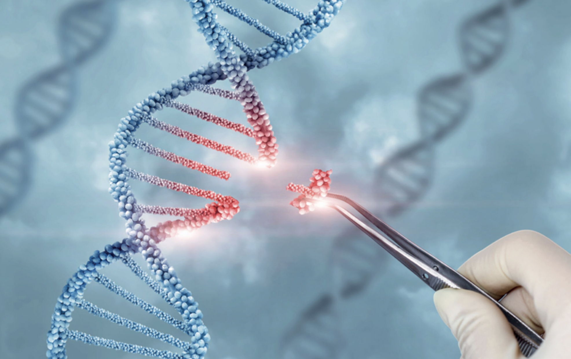 O que são as doenças raras