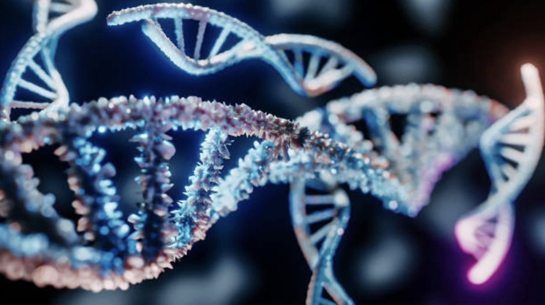 Banner de :Genética reduz tempo de diagnóstico de doenças raras, que ainda é longo